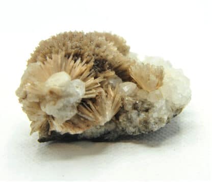 Natrolite, Analcime et Calcite, Wasson Bluff, Nova Scotia, Canada.