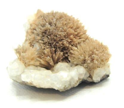 Natrolite, Analcime et Calcite, Wasson Bluff, Nova Scotia, Canada.