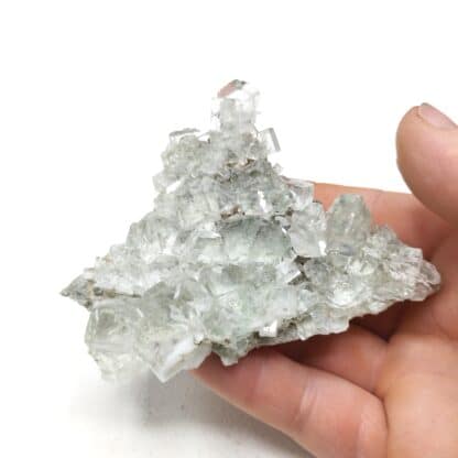 Fluorite (Fluorite), Xianghuapu, Chenzhou, Hunan, Chine.