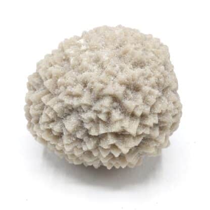 Calcite sableuse, Nemours, Seine-et-Marne.