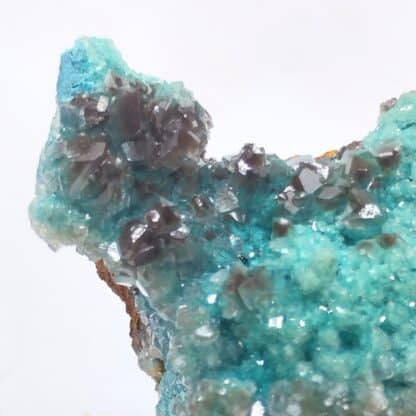 Calcite sur Aurichalcite, Ojuela, Mexique.