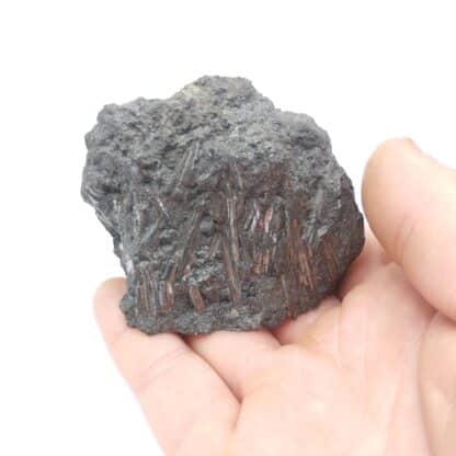 Cylindrite, Mine de Santa Cruz, Poopó, Oruro, Bolivie.