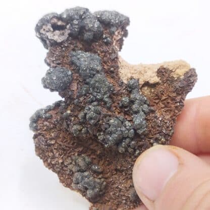 Goethite ps. Pyrite, Usclas-du-Bosc, Loiras, Hérault.