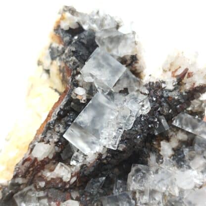 Fluorite (Fluorine), Mine Clara, Forêt Noire, Allemagne.