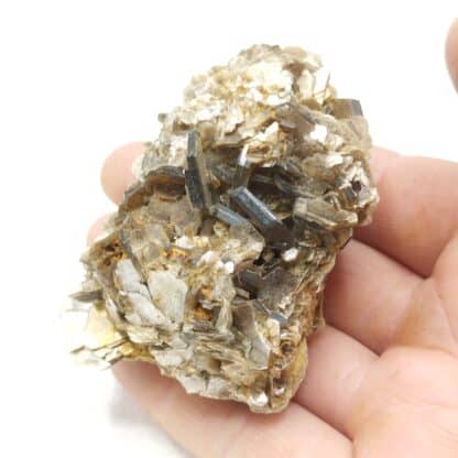 Muscovite, Yate Brooks farm, Cleveland, Caroline du Nord, USA (États-Unis).