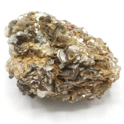 Muscovite, Yate Brooks farm, Cleveland, Caroline du Nord, USA (États-Unis).