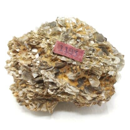 Muscovite, Yate Brooks farm, Cleveland, Caroline du Nord, USA (États-Unis).