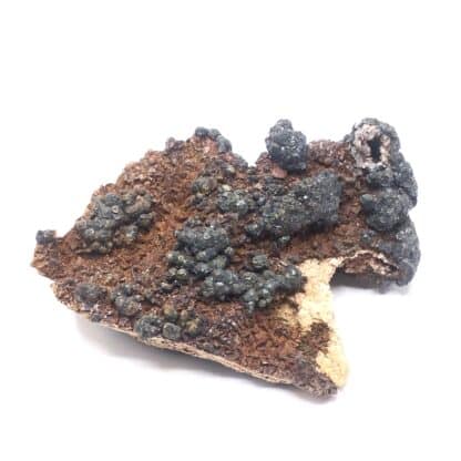 Goethite ps. Pyrite, Usclas-du-Bosc, Loiras, Hérault.