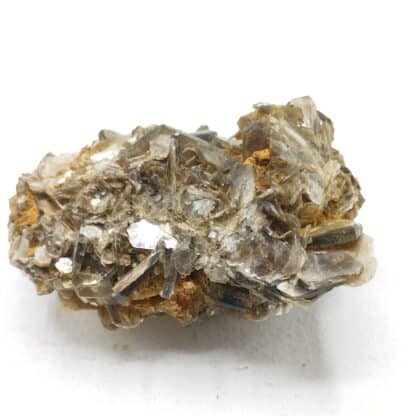 Muscovite, Yate Brooks farm, Cleveland, Caroline du Nord, USA (États-Unis).