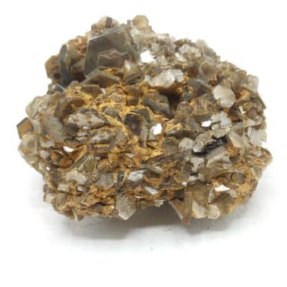 Muscovite, Yate Brooks farm, Cleveland, Caroline du Nord, USA (États-Unis).