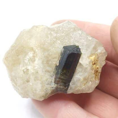 Elbaïte (Tourmaline), Golconda, Minas Gerais, Brésil.