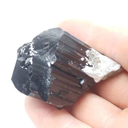 Schorl (Tourmaline), Ambatosoratra, Madagascar.