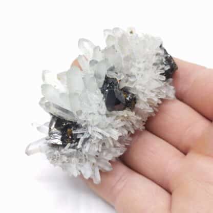 Sphalérite (Blende) & Quartz, Pasto Bueno, Pérou.