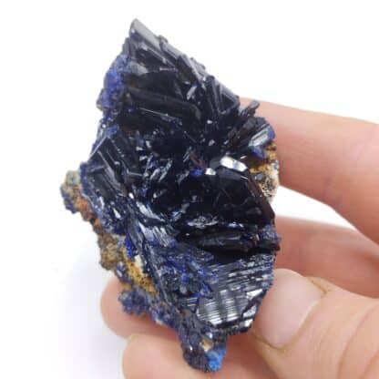 Azurite, Puits XII, Touissit, Maroc.