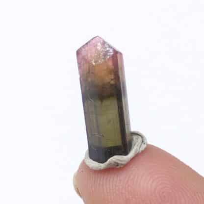 Tourmaline Elbaïte, Mine Golconda, Minas Gerais, Brésil.