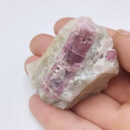 Elbaïte (Tourmaline), Golconda, Minas Gerais, Brésil.