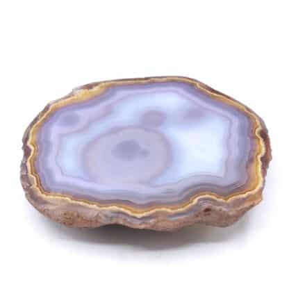 Agate Coyamito, Chihuahua, Mexique.