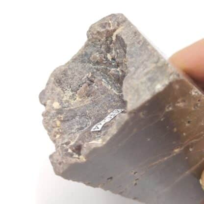 Zircon, Benono, Tongay, Madagascar.