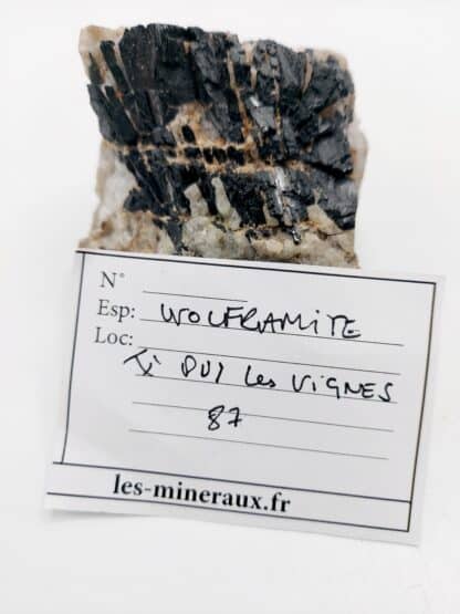 Wolframite, Puy-les-Vignes, Haute-Vienne, Limousin.