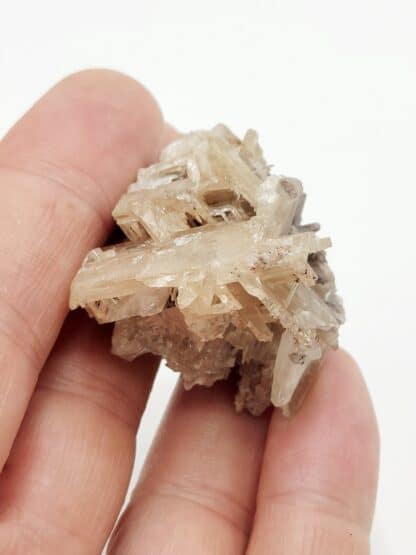 Cérusite, Mine de Tsumeb, région d’Oshikoto, Namibie.