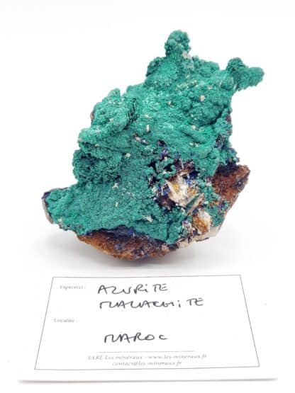 Azurite et Malachite, Touissit, Maroc.