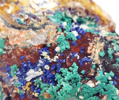 Azurite et Malachite, Touissit, Maroc.