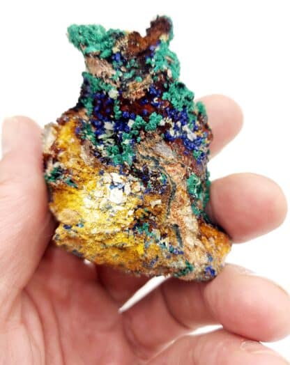 Azurite et Malachite, Touissit, Maroc.