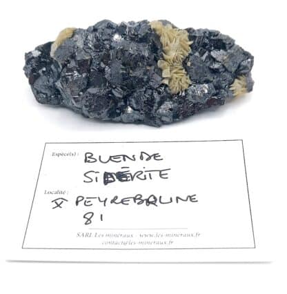 Blende et sidérite, Carrière du Rivet, Peyrebrune, Tarn.