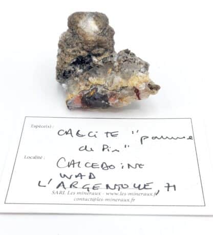 Calcite « pomme de pin », Argentolle, Saône-et-Loire, Morvan.