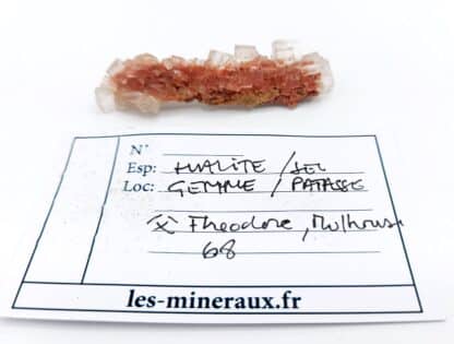 Halite (Sel gemme), Mine Theodore, Wittenheim, Haut-Rhin.