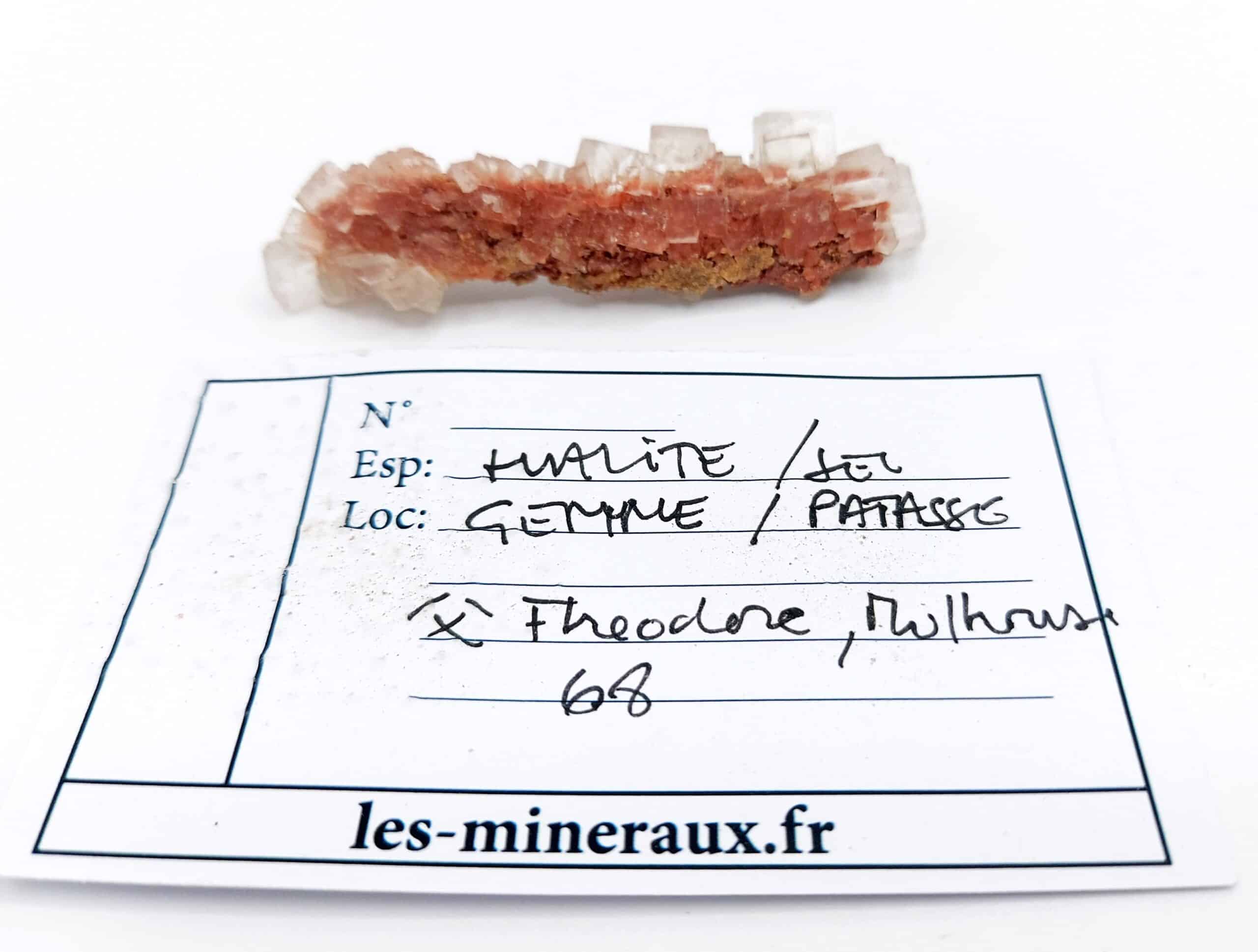 Halite (Sel gemme), Mine Theodore, Wittenheim, Haut-Rhin.