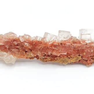 Halite (Sel gemme), Mine Theodore, Wittenheim, Haut-Rhin.