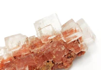 Halite (Sel gemme), Mine Theodore, Wittenheim, Haut-Rhin.