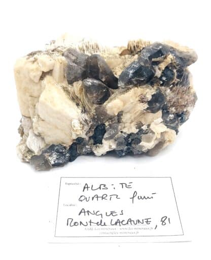 Albite et quartz fumé, Mont de Lacaune, Tarn.