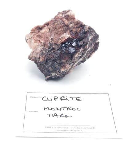 Cristaux de Cuprite, Montroc, Tarn.