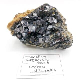 Galène, Chalcopyrite et Blende, Madan, Bulgarie.