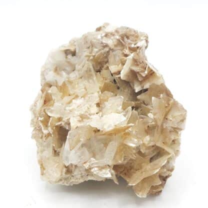 Mica (muscovite) en étoile, Quartz, Minas Gerais, Brésil.