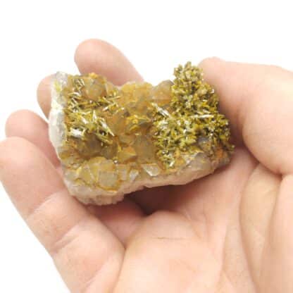 Pyromorphite sur Quartz, Les Farges, Ussel, Corrèze.