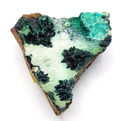 Atacamite, Mine de la Farola, Atacama, Chili.