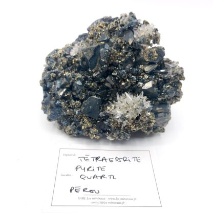 Tétraédrite, Pyrite, Quartz, Mine Casapalca, Lima, Pérou.