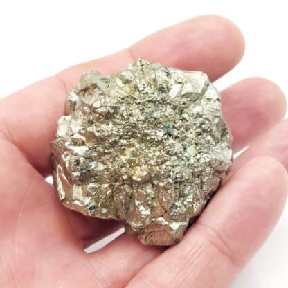 Cristaux de Pyrite de Huanzala, Pérou.