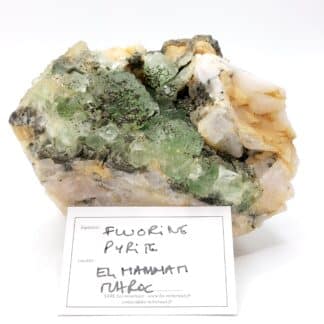 Fluorite verte et pyrite, El Hammam, Maroc.