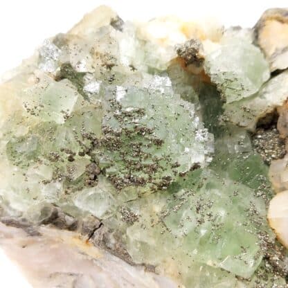 Fluorite verte et pyrite, El Hammam, Maroc.