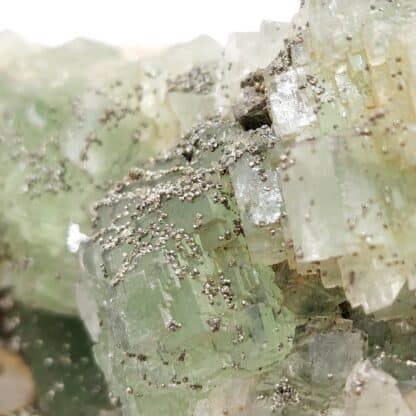 Fluorite verte et pyrite, El Hammam, Maroc.