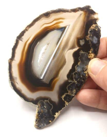 Agate (Quartz), Rio Grande do Sul, Brésil.