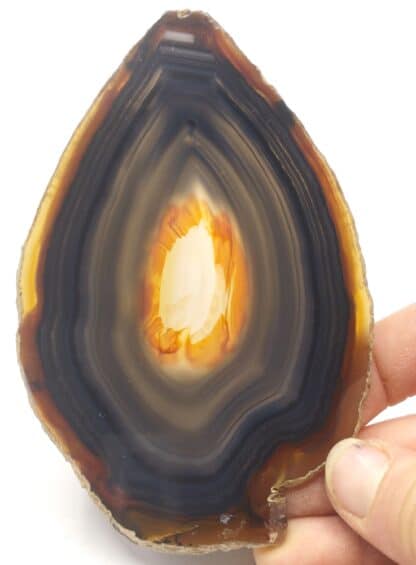 Agate (Quartz), Rio Grande do Sul, Brésil.