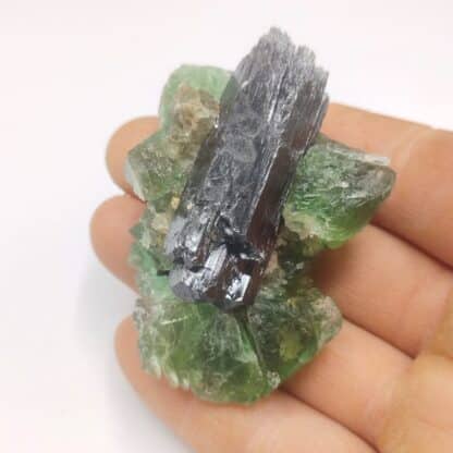 Fluorite verte & Tourmaline (Schorl), Erongo, Namibie.