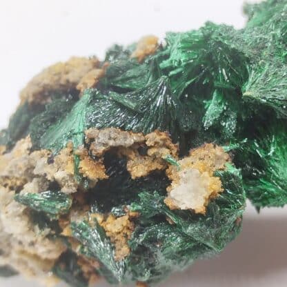 Atacamite, La Farola, Atacama, Chili.