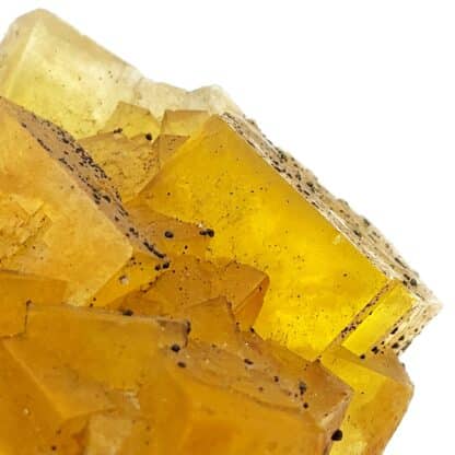 Fluorite jaune, Gersdorf, Mittelsachsen, Saxe, Allemagne.