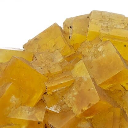 Fluorite jaune, Gersdorf, Mittelsachsen, Saxe, Allemagne.